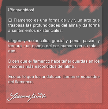 Bienvenidos